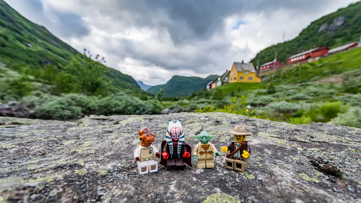 Attend Free Festivals in Bergen, Norway